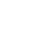 store icon